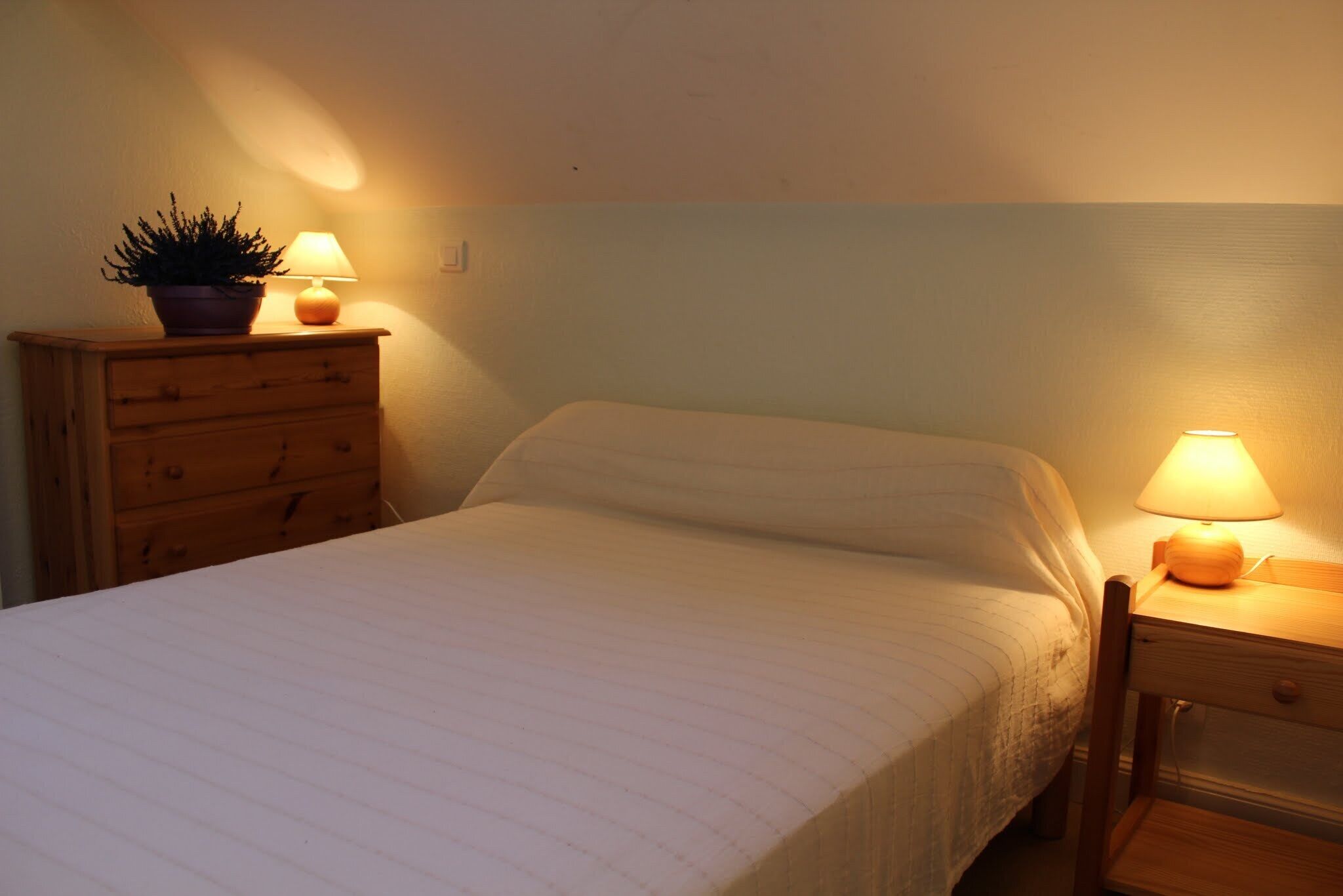 A neatly made bed with a white bedspread, a wooden nightstand with a lamp, and a potted plant on the dresser.