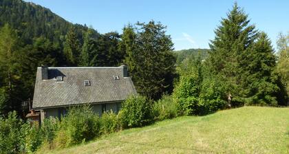 Villa le Bois Joli at La Bourboule