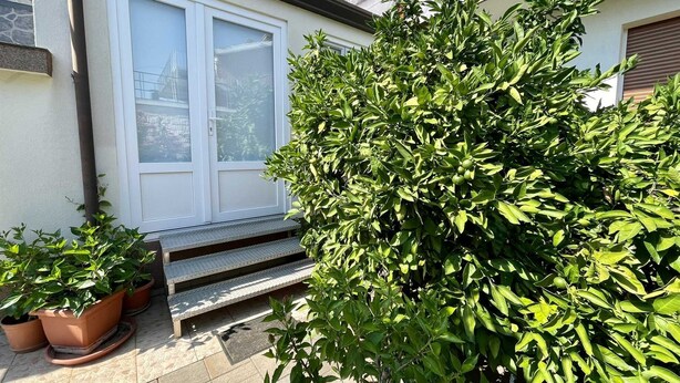 A residential area with a white door, a small set of steps leading to a door, and several potted plants. - Apartment Maria close to the beach and city center (Umag)