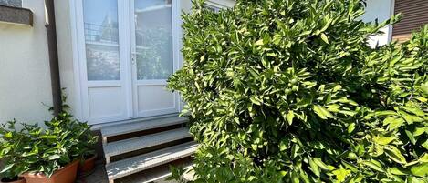 Detalle exterior