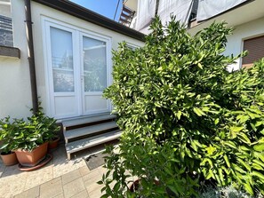 A residential area with a white door, a small set of steps leading to a door, and several potted plants.