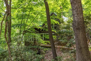 บริเวณภายนอก