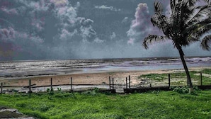 A beach with a fence, a palm tree, and a cloudy sky. - JK Sea Palace (Shrivardhan)