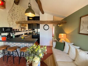 TV - La Sanverine beautiful renovated apartment with terrace (Vence)