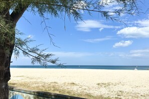 Une plage avec un ciel dégagé, un arbre au premier plan et une rive sablonneuse.