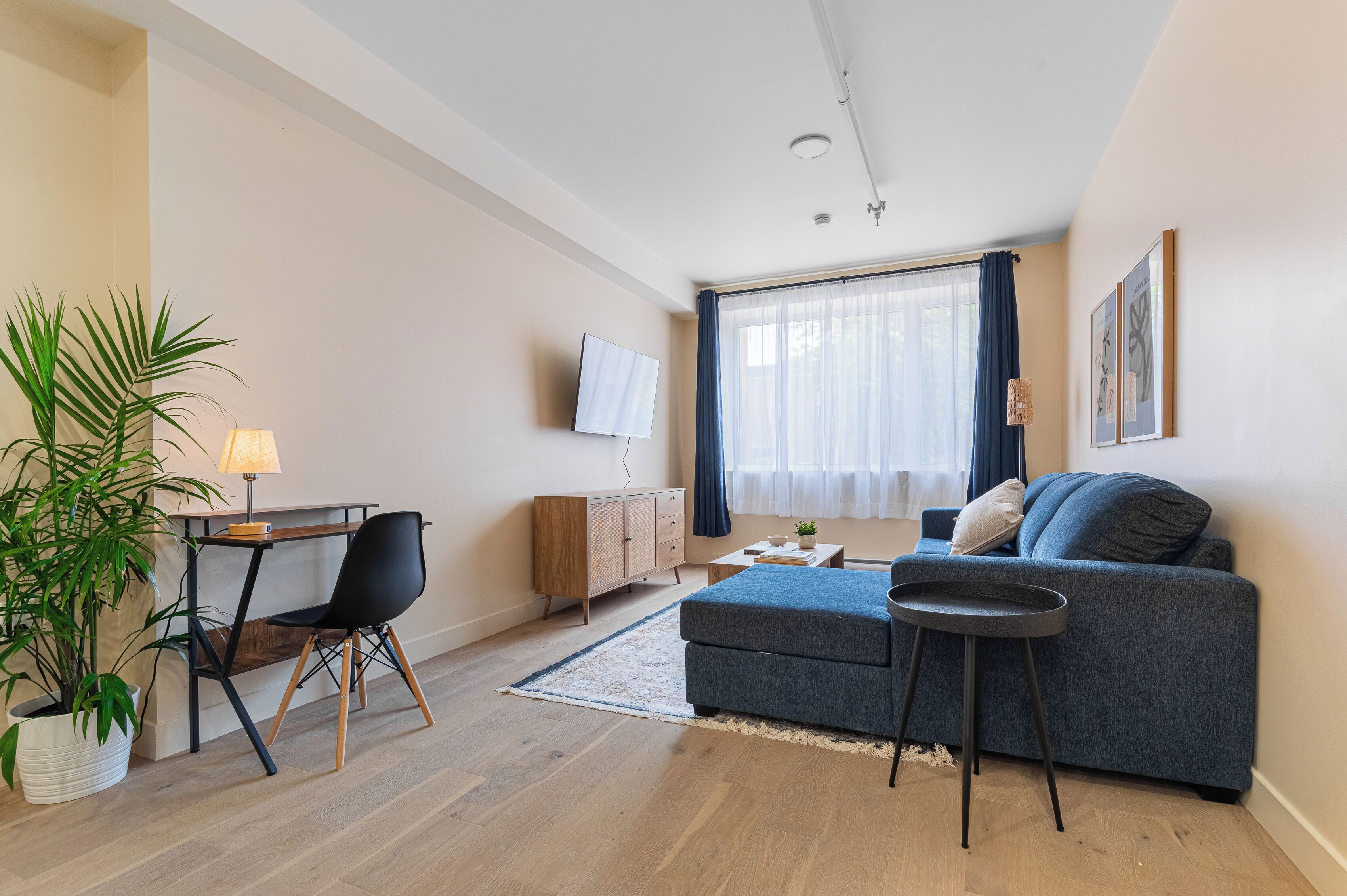 A modern living room with a sofa, a small table, a TV, and a potted plant.