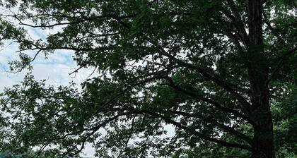 The Sugar Shack Cabin on Weiss Lake