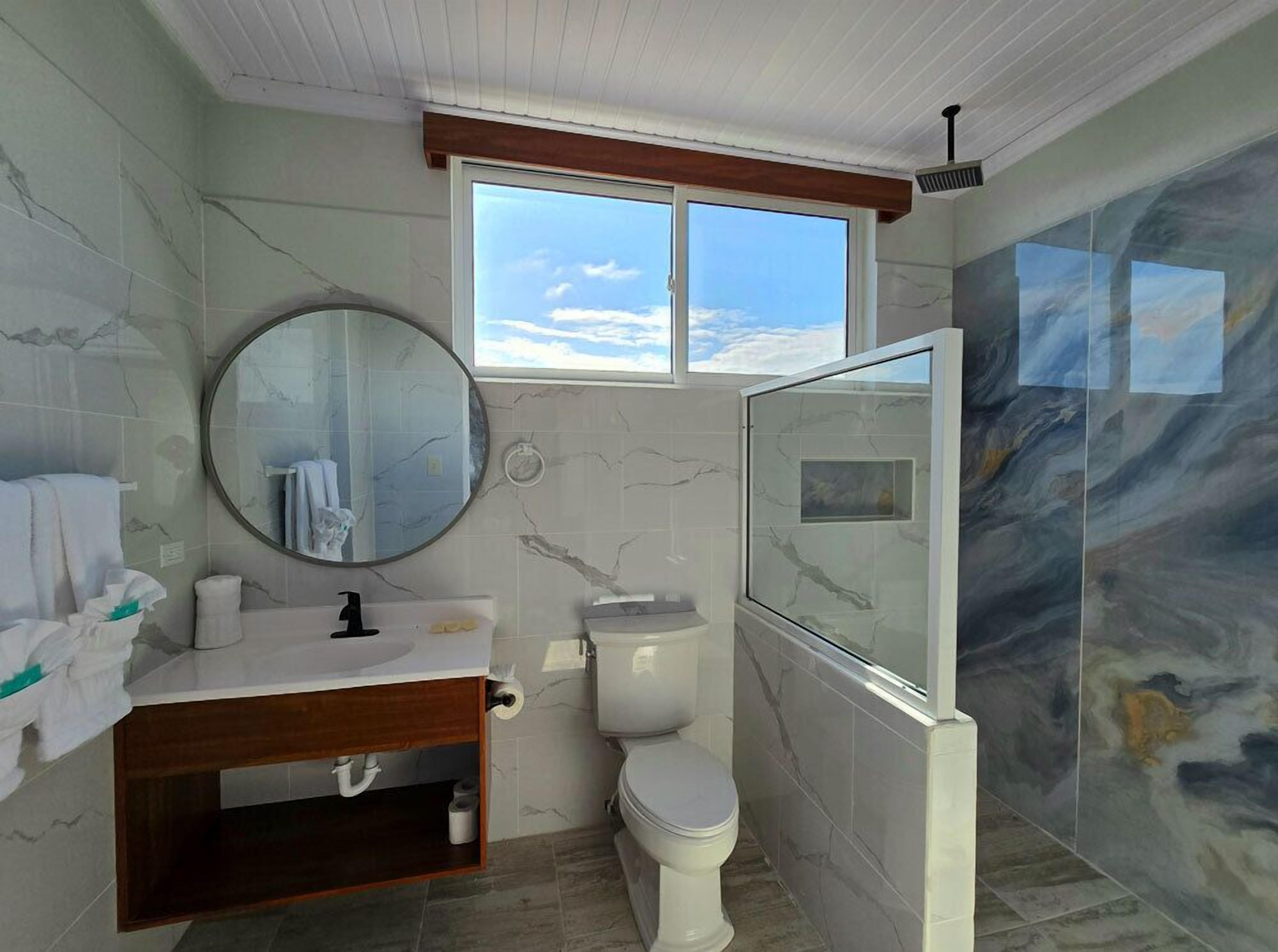 A bathroom with a toilet, sink, mirror, and shower.