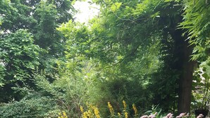 Un jardin luxuriant, parsemé de différentes plantes et fleurs, dont des variétés aux fleurs jaunes et roses, et agrémenté d’un sentier en pierre.