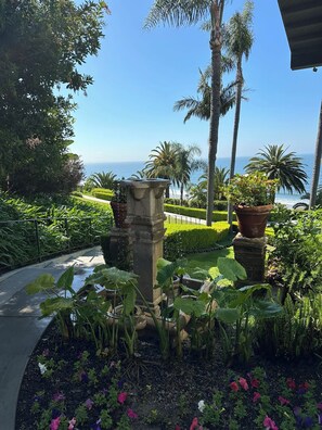 Property grounds - Vacation house (Los Angeles)