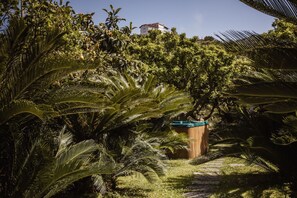 A lush garden with palm trees and a wooden bench.