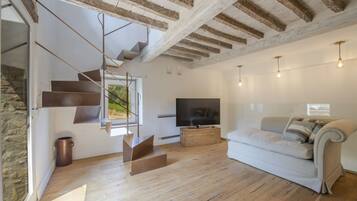 TV, books, offices, computer monitors