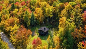Eine Hütte, umgeben von dichtem Wald mit Herbstlaub.