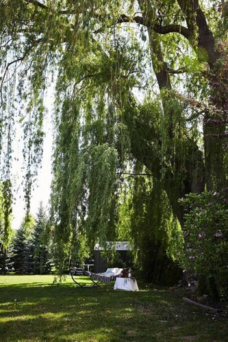 Vineyard views, hot tub, clean and spacious rooms