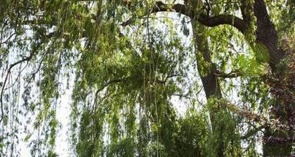 Vineyard views, hot tub, clean and spacious rooms