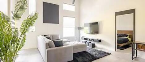 Smart TV, computer monitors