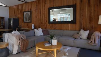 Smart TV, fireplace, books