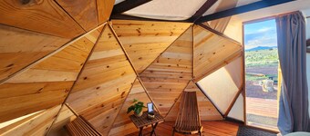 Raptor Ranch Little Owl 1