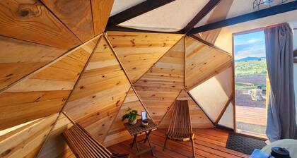 Raptor Ranch Little Owl 1