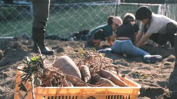 Shower, eco-friendly toiletries, hair dryer, towels