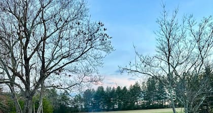 Log Cabin Retreat/Pet Friendly: Lake, Golf & Wine