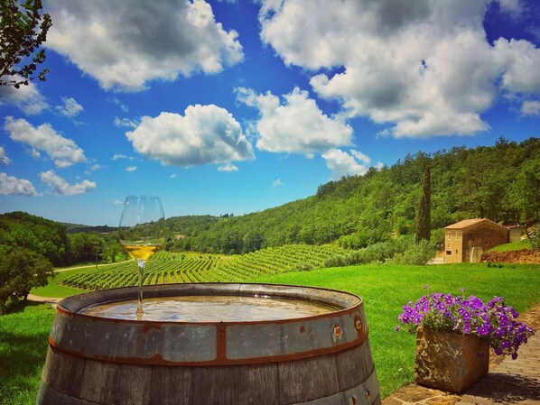 Outdoor spa tub - Villa Samanta by Interhome (Buje/Momjan)