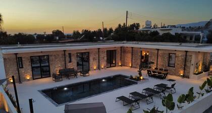Phaedrus Living: Olive Grove Luxury Villa