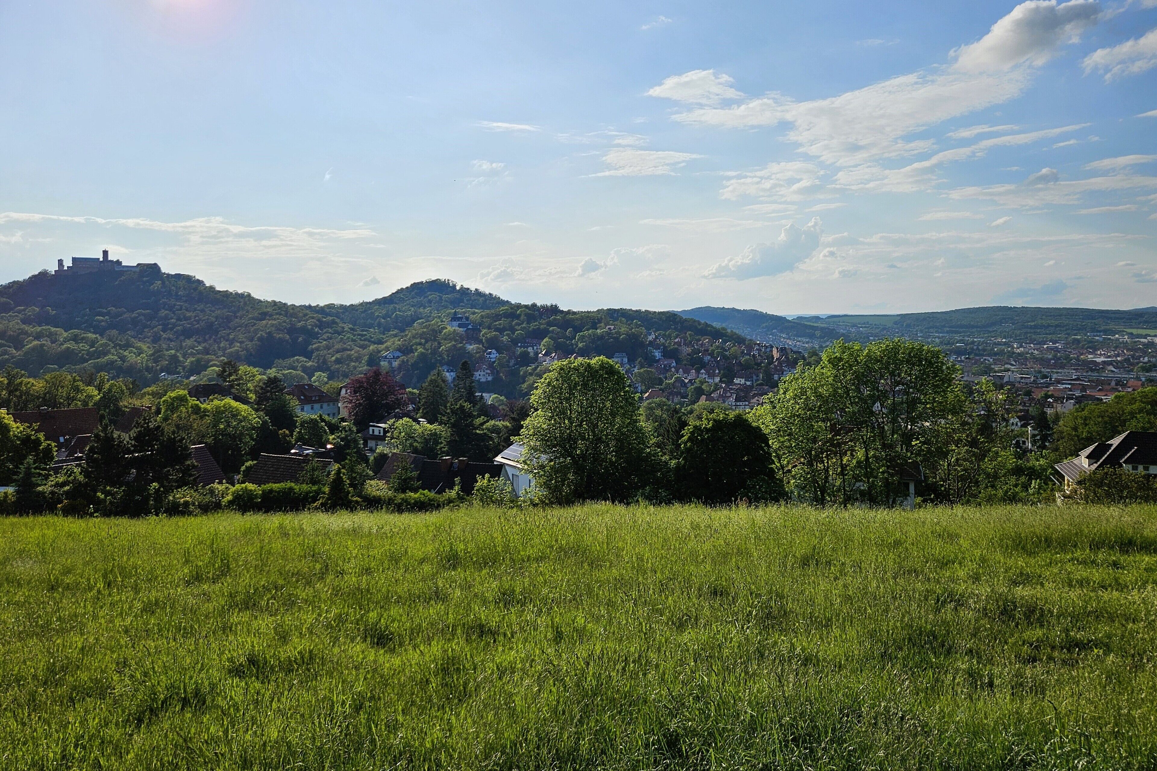 A grassy field with a hill in the background.