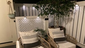 Two wicker chairs with cushions, a patterned rug, and a decorative plant.