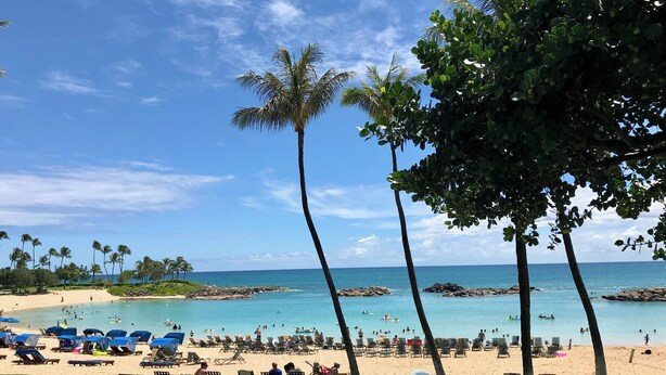 A beach with palm trees, sun loungers, and a view of the ocean.