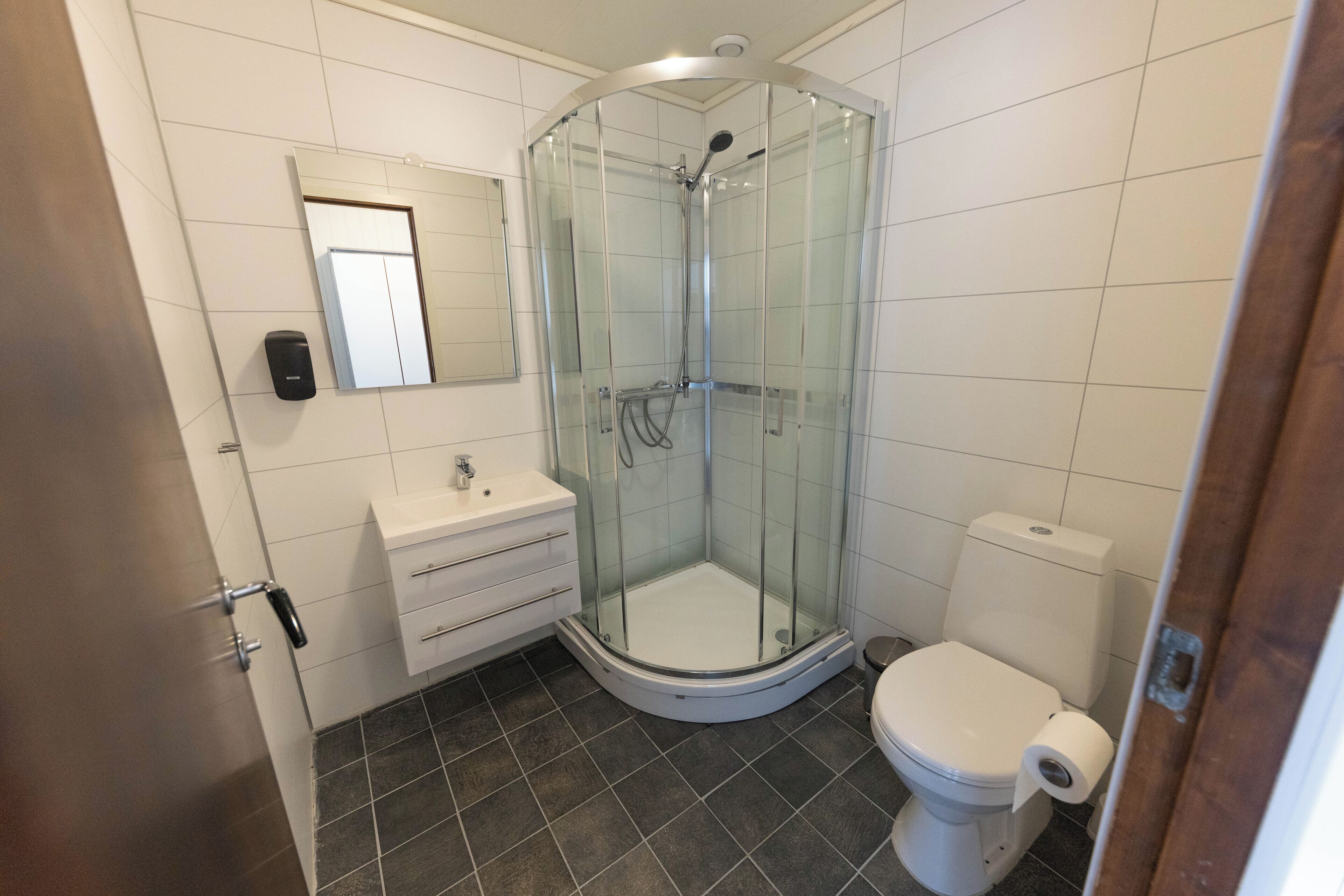 A bathroom with a glass-enclosed shower, a toilet, and a sink with a mirror above it.