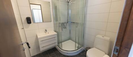 A bathroom with a glass-enclosed shower, a toilet, and a sink with a mirror above it.