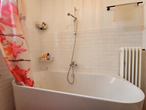 Hair dryer, soap, shampoo, toilet paper - Alte Schule Kail Apartment 1 (Kail)