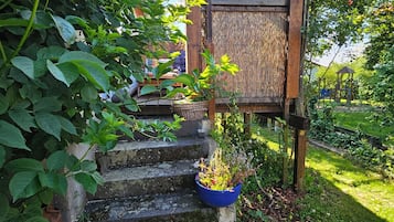 Ărea da propriedade