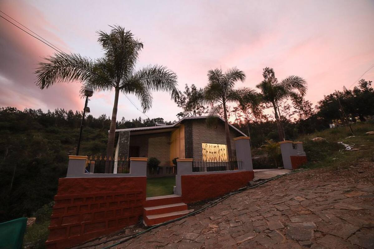 A small, modern house with a brick exterior and a well-lit interior, surrounded by palm trees and a stone pathway.