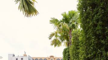 Kolam renang outdoor