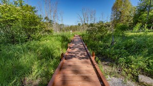 A wooden boardwalk through a forested area with gravel on either side. - The Rushes (Baileys Harbor)