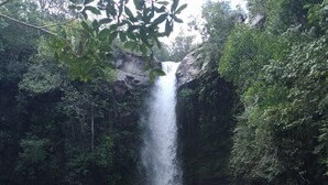 Ein Wasserfall in bewaldeter Landschaft mit klarem Wasser und Felsen am Fuße.