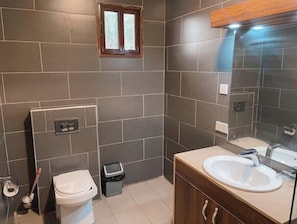Shower, towels, soap, toilet paper