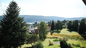 A residential area with houses, a large tree, and a lake in the background. - LakeviewOasis: Exclusive Schnepfhalde apartment (Schluchsee)