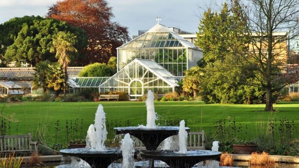 A greenhouse with a glass roof, surrounded by a well-maintained garden with a fountain and a bench. - Amazing Victorian House, Excellent City Location (Cambridge)