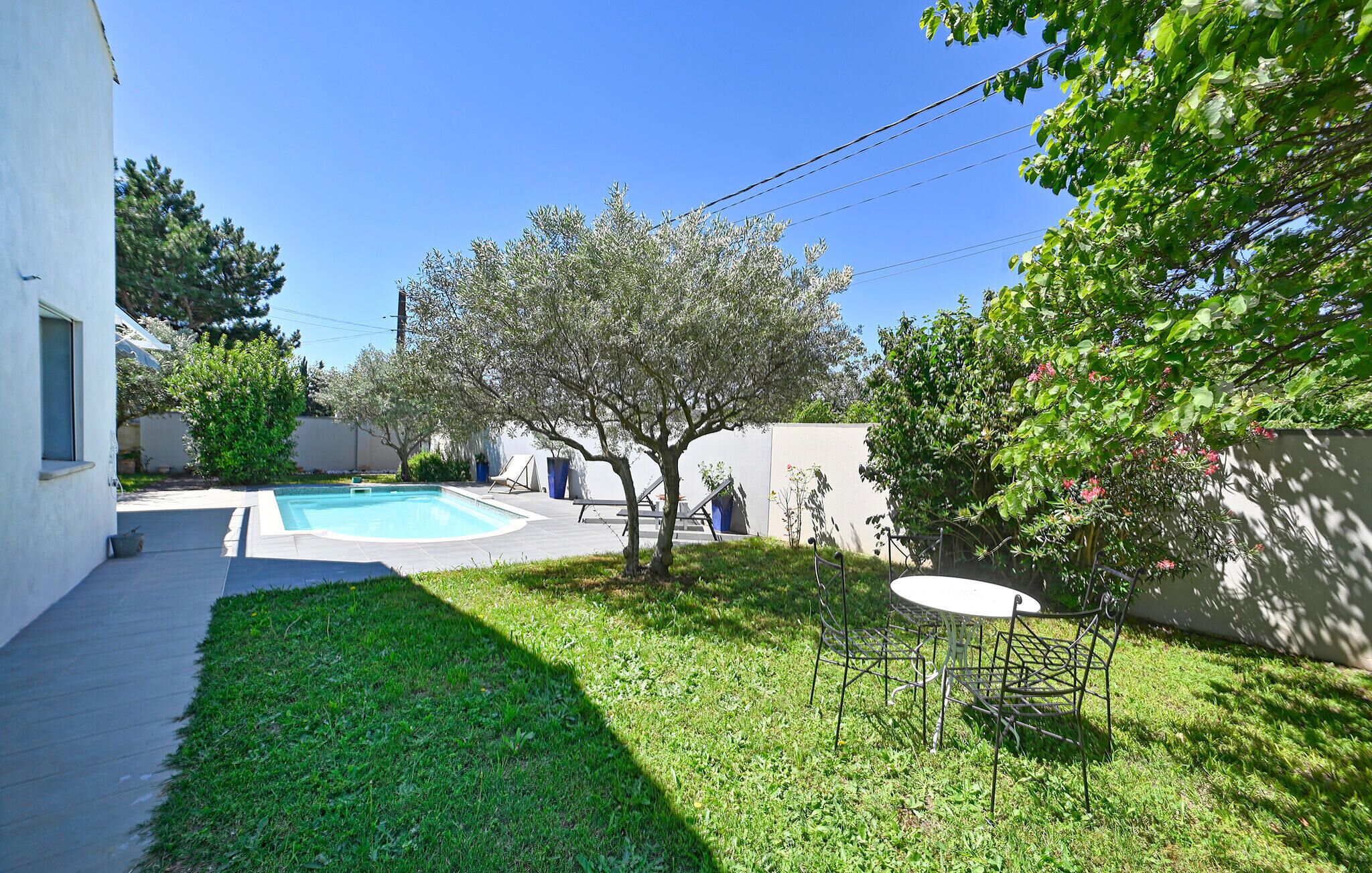 A backyard with a swimming pool, a small lawn, and a tree.