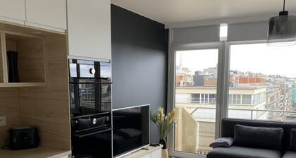 Magnificent apartment in Saint Idesbald