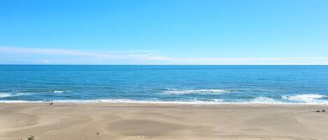 بالقرب من الشاطئ