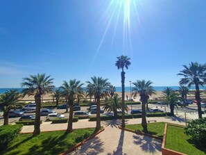 Property grounds - Canet-en-Roussillon: T2 for 5, sea view, near beach (Canet-en-Roussillon)