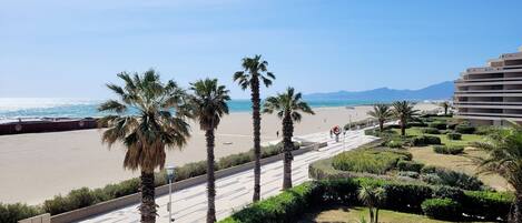 Eine Uferpromenade mit Palmen, einem Strand und einem Hotel im Hintergrund.