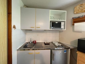 Kitchen area features a refrigerator, microwave, sink, and cabinet.