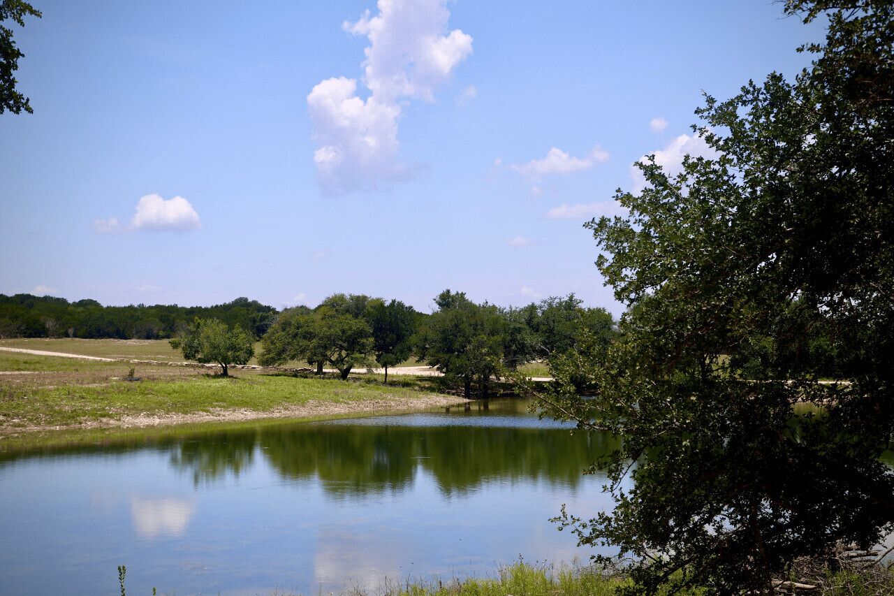 A calm lake with trees and a clear sky.