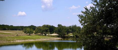 A calm lake with trees and a clear sky.