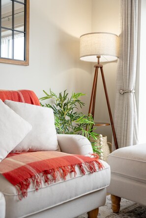 Télévision, chaîne hi-fi